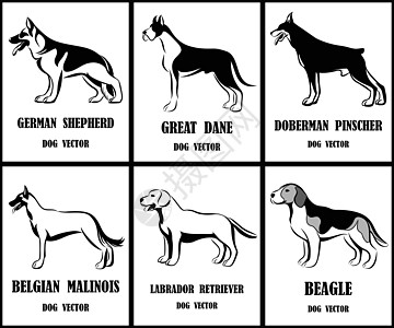 各种狗的线条艺术矢量插图吉祥物宠物阴影猎犬犬类标识商业标签收藏哺乳动物图片