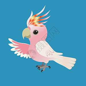 一只可爱的米切尔少校凤头鹦鹉的插图图片