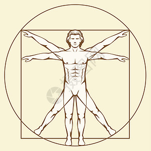 维特鲁威马药品圆圈男性蓝色绘画科学正方形医疗插图解剖学图片