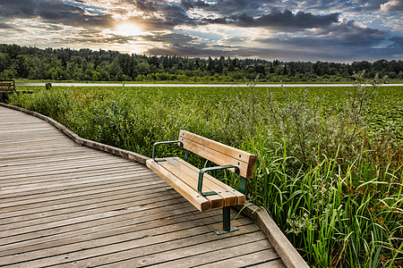 伯纳比湖公园内有新的木板凳的娱乐场所图片