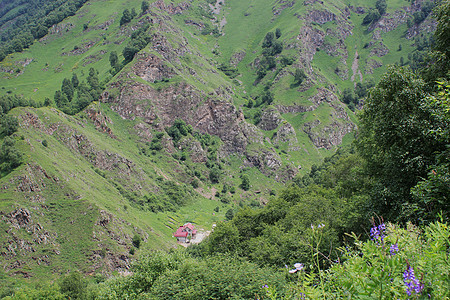 山地景观 美丽的自然 山峡旅游森林峡谷高山空气旅行树木山脉天空图片