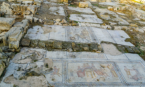 位于齐波里的一个公共房屋的罗马时代马赛克马赛克地板图片
