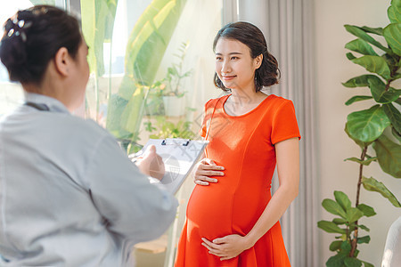 孕妇在窗户附近与医生就诊时快乐的孕妇咨询图片