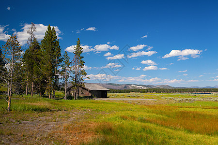 美国怀俄明州黄石公园的风景森林国家建筑荒野农场松树植物爬坡窝棚房子图片