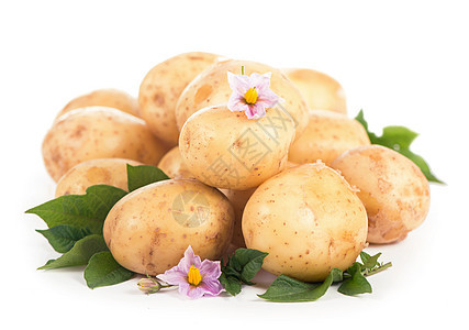 生土豆 鲜花和白背景的叶子烹饪营养小吃淀粉收成麻布马铃薯解雇生产团体图片