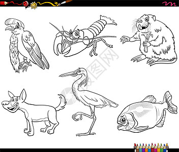 卡通野生动物人物设置着色书 pag动物园野狗友谊荒野卡通片白鹭绘画漫画收藏插图图片