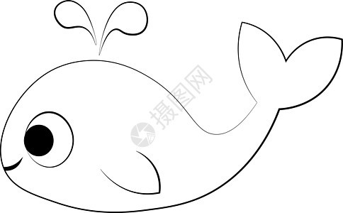 可爱的卡通鲸鱼 在科罗拉多画插图笔记本荒野盒子包装风格艺术海洋打印尾巴染色图片