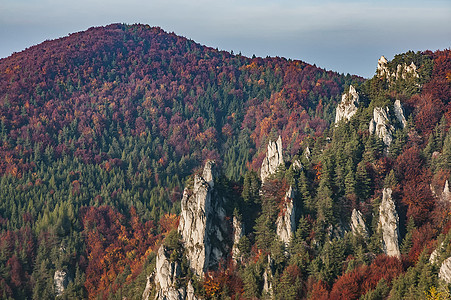 苏洛夫斯基岩石斯洛伐克国家石头红色顶峰林地爬坡风景场景砂岩高地图片