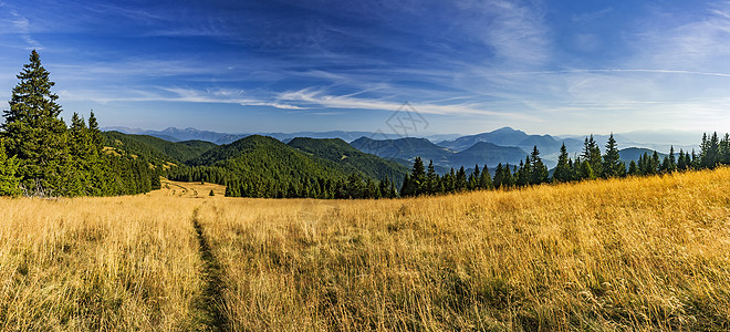 斯洛伐克山区地貌全景树木季节爬坡游客旅游云杉植物地区天空图片