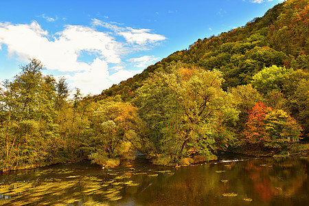 美丽的秋天风景 黄昏时森林里有河流和多彩的树木 塔亚河谷国家公园奥地利图片