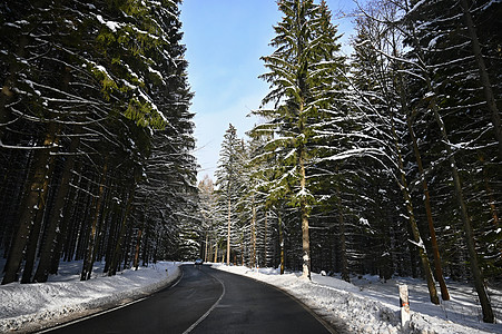 冬天的路 雪山的车道 冬季乘车旅行和安全驾车的概念 笑声危险天空道路车辆驾驶场景森林运输街道季节图片