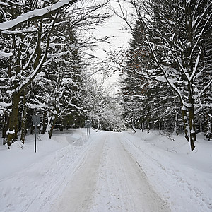 冬天的路 雪山的车道 冬季乘车旅行和安全驾车的概念 笑声天空山脉危险汽车场景车辆天气驾驶森林季节图片