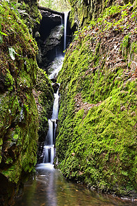 美丽的自然背景 有溪流和森林 大自然的春天环境风景公园岩石旅行瀑布踪迹国家苔藓树木图片