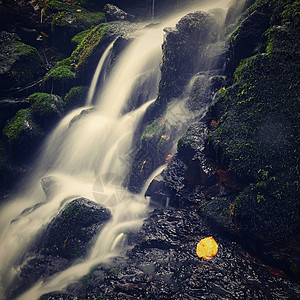 自然  小溪上美丽的小瀑布 自然多彩的背景与自来水在森林里的石头上公园叶子环境风景旅游场景溪流季节岩石运动图片