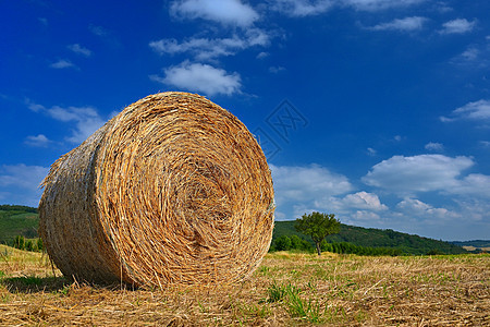 美丽的夏日风景 农业田地 带白云和阳光的草原上的干草群 海巴莱Hay bale干草堆小麦天空土地农田收获蓝色日落农村农场戏剧性图片