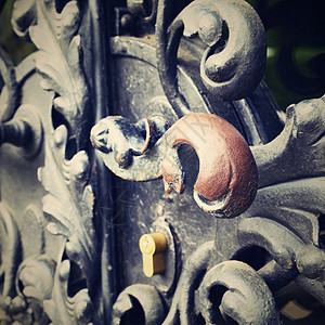 美丽的老门 漂亮的手工铁匠作品装饰品金属建筑网关公园入口框架花园艺术房子图片