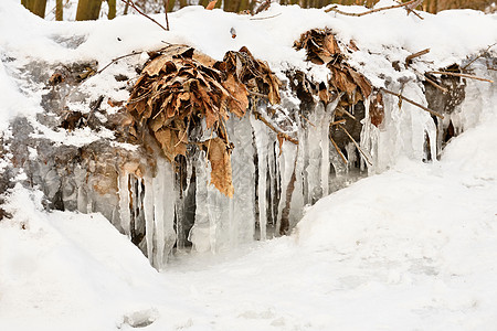 结冰的小溪 大自然中美丽的冬季季节性背景高清图片