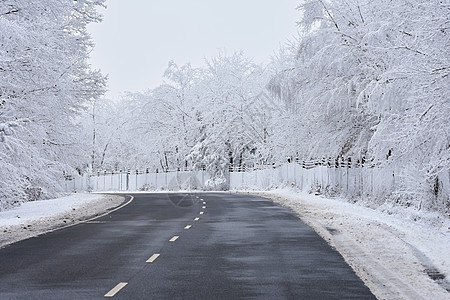 清空道路 有雪覆盖的风景 美丽的冬季交通和汽车季节性背景阳光运动暴风雪速度街道危险风暴沥青运输天气图片