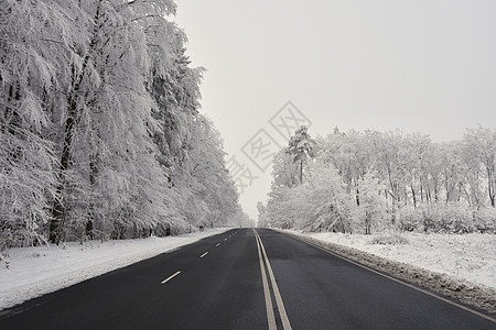 清空道路 有雪覆盖的风景 美丽的冬季交通和汽车季节性背景季节速度国家天气天空森林运动旅行街道蓝色图片