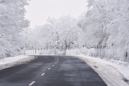 清空道路 有雪覆盖的风景 美丽的冬季交通和汽车季节性背景天空日落天气速度运输季节风暴森林旅行国家图片