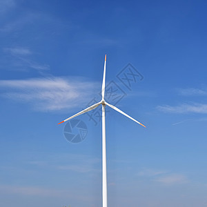 生态动力 风力涡轮换替代能源风车生长电气螺旋桨涡轮机天空旋转植物活力力量图片