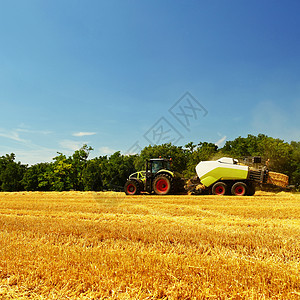 收割机农业机械收割金色成熟的玉米田 拖拉机干草和稻草 具有工业主题的传统夏季背景粮食地平线机器农村面包工作小麦生长耳朵食物图片