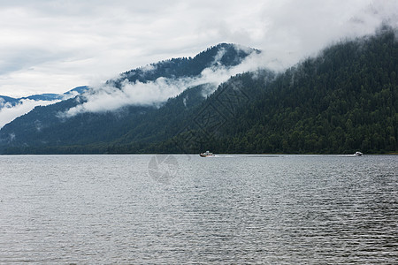 阿尔泰山区福吉特莱斯科耶湖海浪涟漪爬坡全景环境绿树天空场景太阳地平线图片