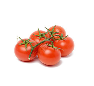 红红熟西红番茄 在白色背景孤立的绿枝上图片
