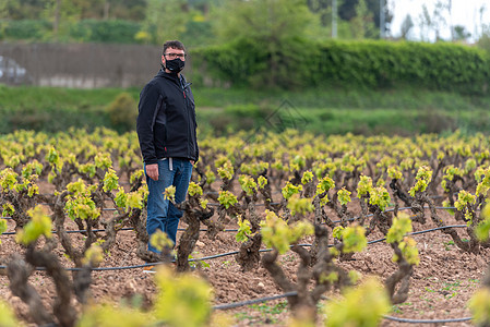 2021年西班牙拉里奥哈地区葡萄园爬坡风景栽培酿酒师农村培育水果国家葡萄园酒厂图片