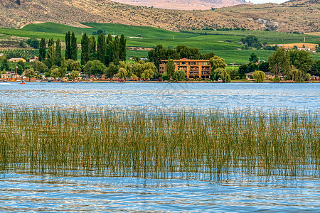 Osoyoos湖暖暑夜情概览图片