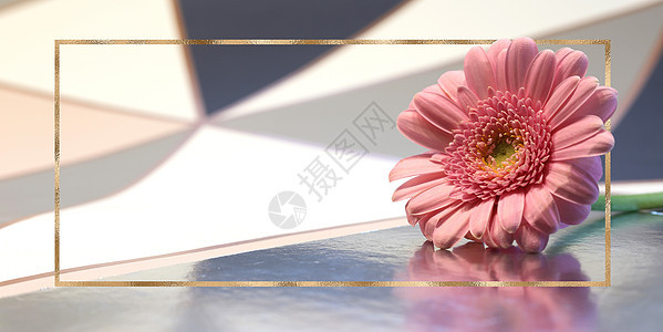 粉色美丽的花朵 画面抽象背景植物植物群邀请函玫瑰墙纸礼物花园花束卡片香气图片