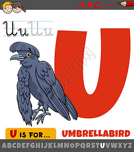 字母表中的字母 U 与卡通伞鸟阿尼玛图片