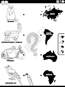 匹配动物和大陆活动着色书页图片