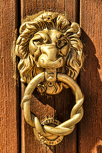 在棕色木制门上成形的老式门锁狮子房子古董动物造型金子铁工门把手木头戒指入口图片