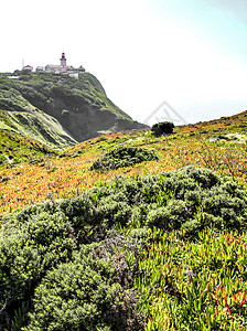 葡萄牙灯塔周围的草地岩石海岸风口浪尖地平线旅行丘陵石头悬崖海洋卡波图片