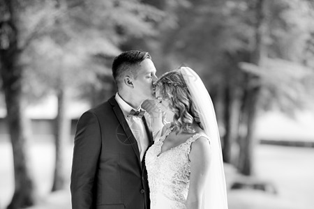 Groom拥抱新娘 在公园拍摄照片时温柔地亲吻她的额头图片
