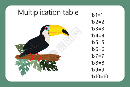 乘法广场 学校矢量图和巨嘴鸟鸟 乘法表 儿童教育海报 数学儿童卡图表孩子们艺术老师工具绘画黑板公式插图计算图片