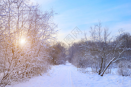 雪和太阳冬天风景全景 太阳从树后探出头来 自然 雪谷 冬天的屏幕保护程序 关于冬季旅游和休闲的文章雪景日落暴风雪公园天空树木环境图片