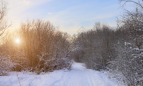 雪和太阳冬天风景全景 太阳从树后探出头来 自然 雪谷 冬天的屏幕保护程序 关于冬季旅游和休闲的文章晴天场景假期暴风雪树木公园雾凇图片