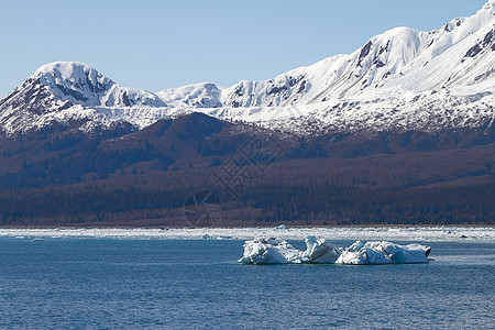 离阿拉斯加Hubbard冰川附近的海冰山浮游图片