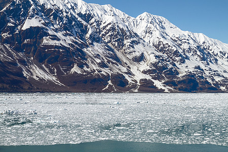 小冰山在阿拉斯加赫伯德冰川附近的海上漂浮图片