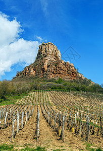 法国索卢特岩石风景栽培乡村农村生长农业天空葡萄园石灰石国家图片
