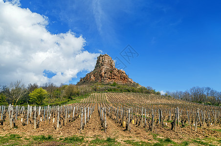 法国索卢特岩石旅行假期风景天空国家藤蔓栽培石灰石农业溶液图片
