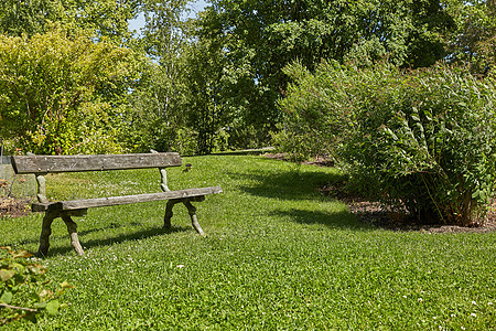 芬兰赫尔辛基Kaisaniemi植物园休息长椅图片
