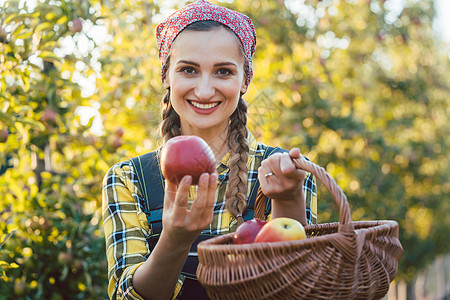 水果果园的农妇手持苹果供奉奉献农民送货收获女孩市场收成篮子采摘园艺图片