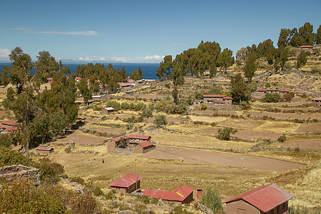 居住在秘鲁普诺Titicaca湖Taquile岛的秘鲁当地人之家图片