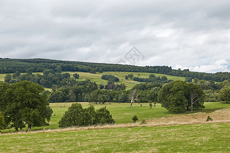 北威尔士州 英格兰 联合王国农业农田爬坡环境森林牧场草地英语场地农场图片