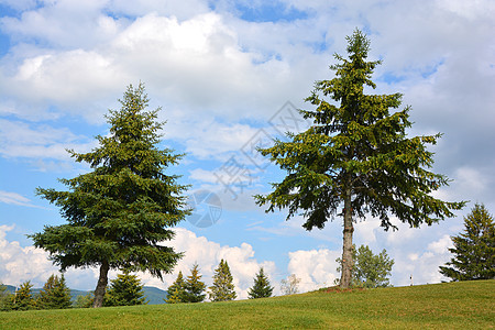 布罗蒙特夏季风景反射旅行季节木头晴天叶子阳光环境森林天空图片