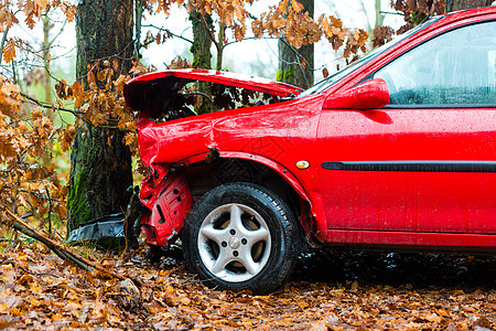 事故汽车撞入树上车辆乘客安全破坏车祸碰撞飞车速度季节疏忽图片