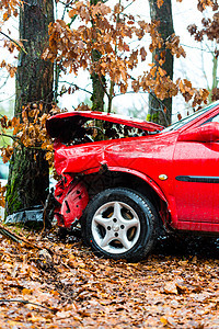事故汽车撞入树上驾驶疏忽破坏车辆碰撞速度橙子季节飞车安全图片